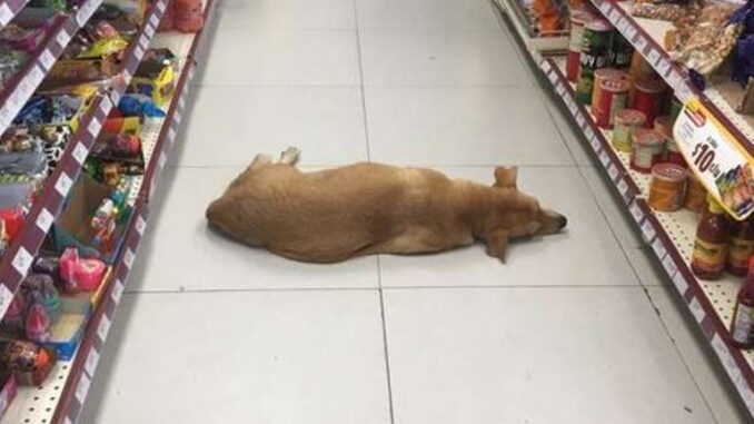 111