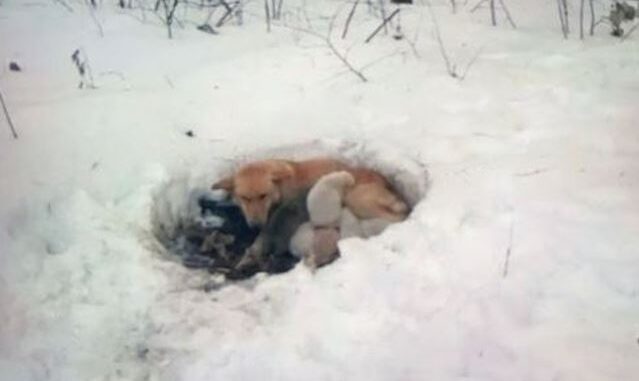 1122